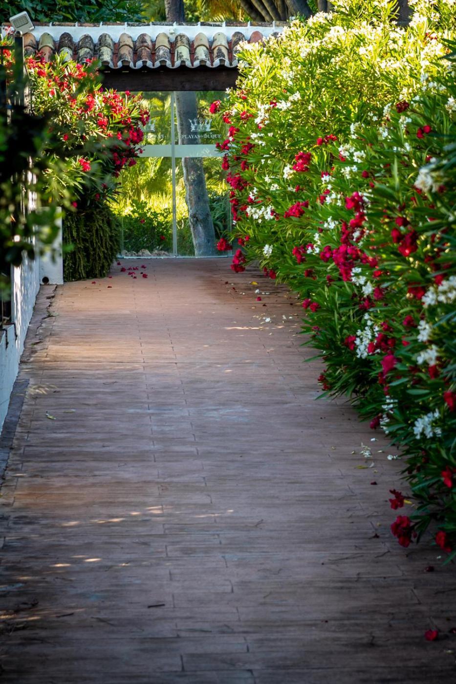 Appartement Banus - Daisy Playas Del Duque Banus Marbellac